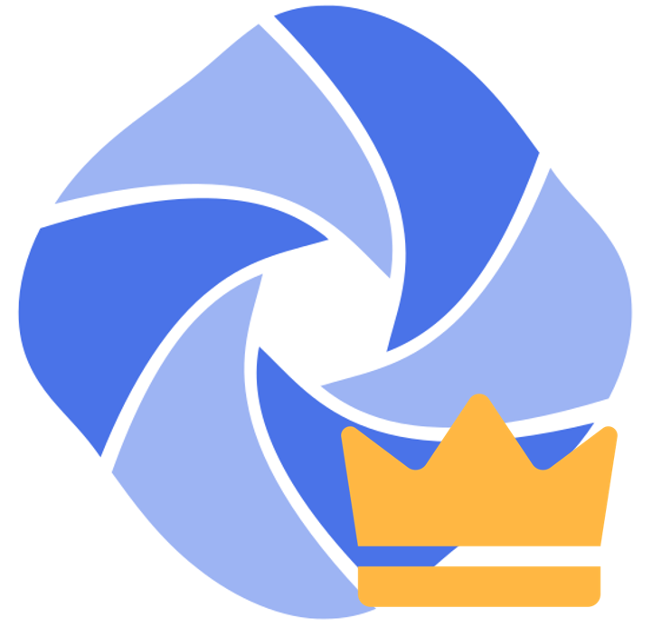 BizzPlai Cockpit-TopManagement